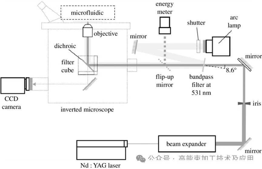 news-865-561